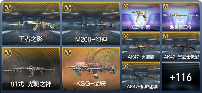 穿越火线：枪战王者2王者武器 176英雄武器 3英雄角色 230万化 枪圣S