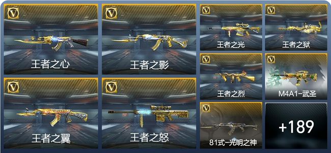 穿越火线：枪战王者V8 24王者武器 311英雄武器 4英雄角色 397万化 枪王