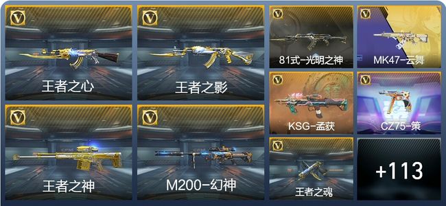 穿越火线：枪战王者V7 4王者武器 166英雄武器 5英雄角色 223万化 专家