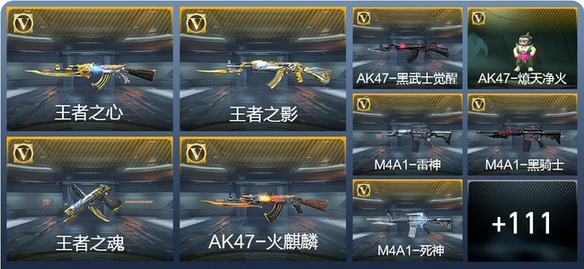 穿越火线：枪战王者V6 6王者武器 158英雄武器 2英雄角色 291万化 大师S