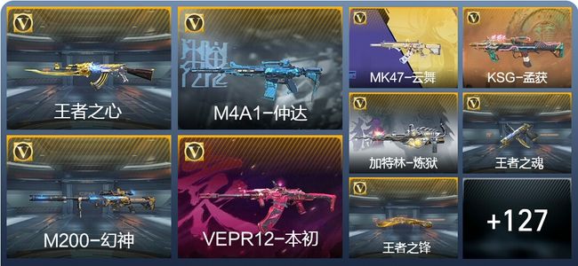 穿越火线：枪战王者V6 10王者武器 180英雄武器 4英雄角色 219万化 大师S