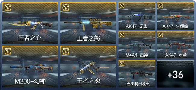 穿越火线：枪战王者V5 3王者武器 56英雄武器 1英雄角色 86万化 精英