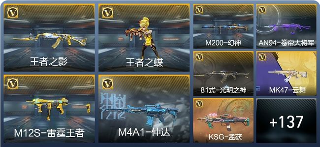 穿越火线：枪战王者V5 5王者武器 200英雄武器 1英雄角色 274万化 枪皇