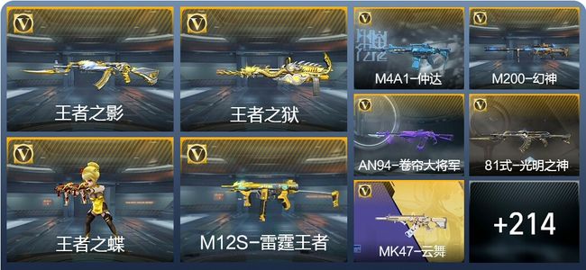 穿越火线：枪战王者V6 17王者武器 296英雄武器 10英雄角色 342万化 大师