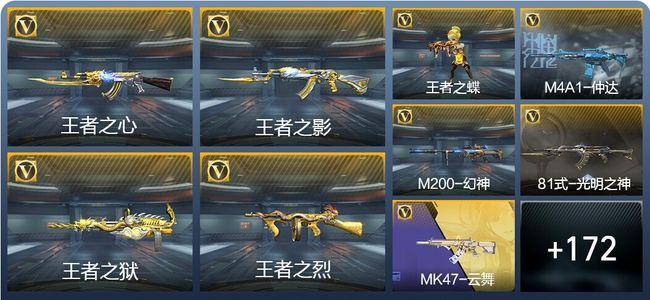 穿越火线：枪战王者V3 11王者武器 244英雄武器 3英雄角色 338万化 专家