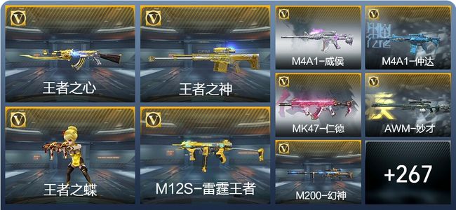 穿越火线：枪战王者V6 28王者武器 467英雄武器 9英雄角色 752万化 专家