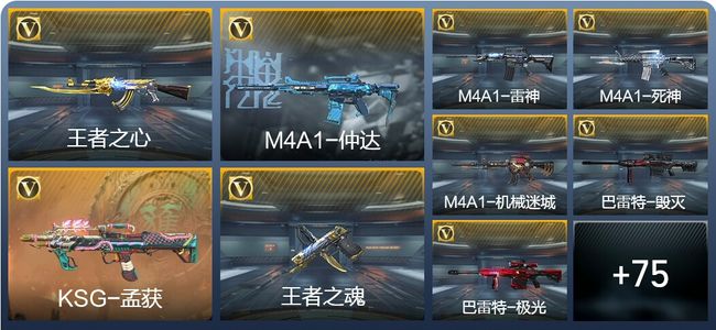 穿越火线：枪战王者V2 4王者武器 111英雄武器 2英雄角色 120万化 专家