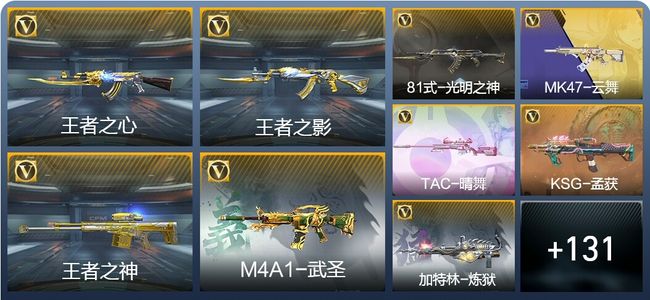 穿越火线：枪战王者V5 6王者武器 177英雄武器 3英雄角色 317万化 专家