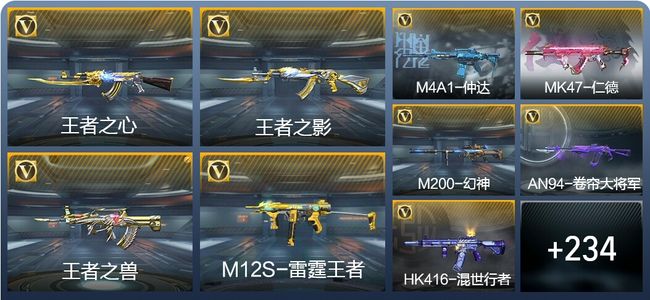 穿越火线：枪战王者V5 13王者武器 365英雄武器 5英雄角色 528万化 专家