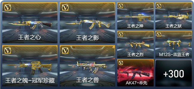 穿越火线：枪战王者V9 14王者武器 338英雄武器 9英雄角色 484万化 枪王SSS