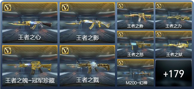 穿越火线：枪战王者V8 29王者武器 271英雄武器 4英雄角色 364万化 专家