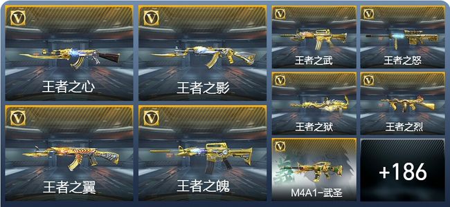 穿越火线：枪战王者V9 24王者武器 320英雄武器 7英雄角色 553万化 专家