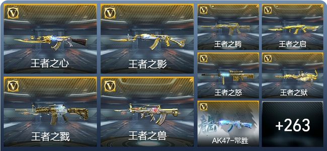 穿越火线：枪战王者V9 33王者武器 379英雄武器 11英雄角色 599万化 专家S