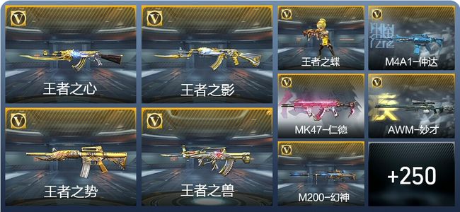 穿越火线：枪战王者V6 15王者武器 289英雄武器 5英雄角色 559万化 专家