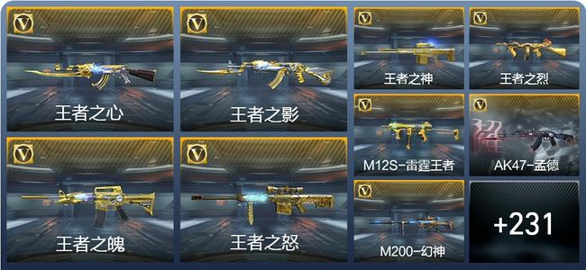 穿越火线：枪战王者V8 30王者武器 382英雄武器 8英雄角色 427万化 枪王S