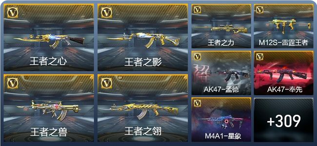 穿越火线：枪战王者V8 41王者武器 426英雄武器 8英雄角色 586万化 枪王SS