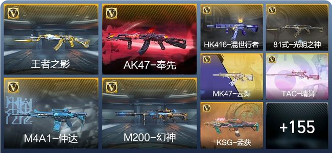 穿越火线：枪战王者V6 13王者武器 245英雄武器 3英雄角色 340万化 专家