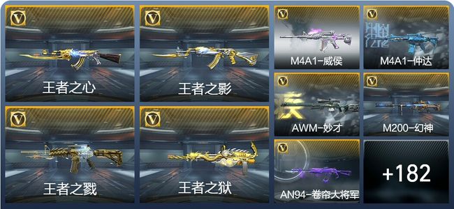 穿越火线：枪战王者V8 12王者武器 270英雄武器 4英雄角色 304万化 专家