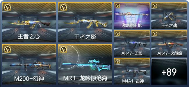 穿越火线：枪战王者V1 5王者武器 145英雄武器 1英雄角色 204万化 枪皇SSS