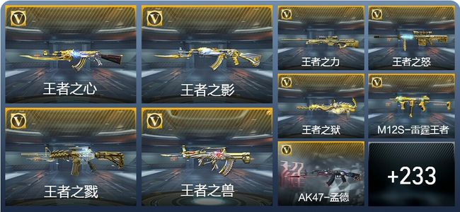 穿越火线：枪战王者V8 33王者武器 366英雄武器 7英雄角色 307万化 专家