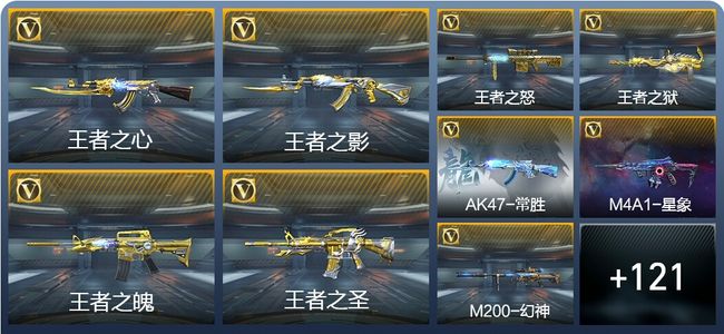 穿越火线：枪战王者V8 28王者武器 205英雄武器 4英雄角色 293万化 枪王SSS