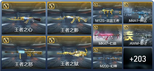 穿越火线：枪战王者V7 22王者武器 289英雄武器 1英雄角色 330万化 枪王