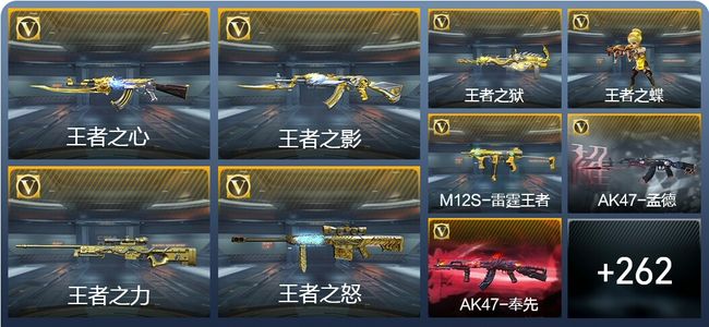 穿越火线：枪战王者V8 53王者武器 421英雄武器 6英雄角色 315万化 枪圣SSS