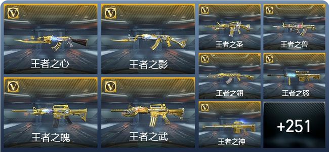 穿越火线：枪战王者V9 65王者武器 365英雄武器 6英雄角色 497万化 专家