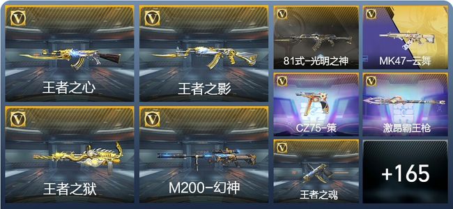 穿越火线：枪战王者V5 7王者武器 243英雄武器 2英雄角色 365万化 专家