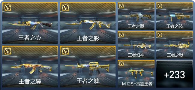 穿越火线：枪战王者V5 25王者武器 364英雄武器 3英雄角色 642万化 大师SS