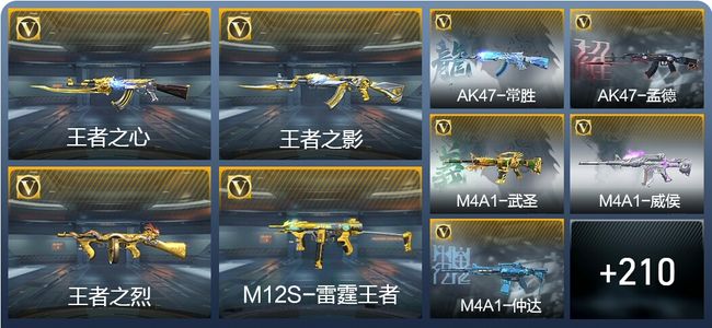 穿越火线：枪战王者V8 12王者武器 291英雄武器 3英雄角色 522万化 专家