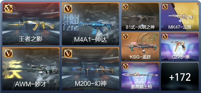 穿越火线：枪战王者V4 4王者 289英雄武器 2英雄角色 345万化 专家S