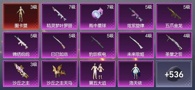和平精英10升级枪 19粉装 6尾迹 309枪皮 246套装 106315热力 12印记