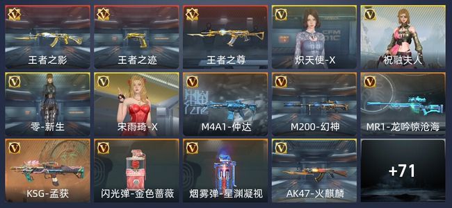 穿越火线：枪战王者V1 5王者 111英雄武器 4英雄角色 113万化 精英