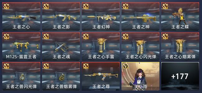 穿越火线：枪战王者V5 13王者 273英雄武器 5英雄角色 286万化 精英