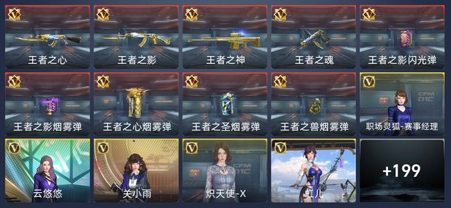 穿越火线：枪战王者V8 10王者 294英雄武器 5英雄角色 522万化 精英