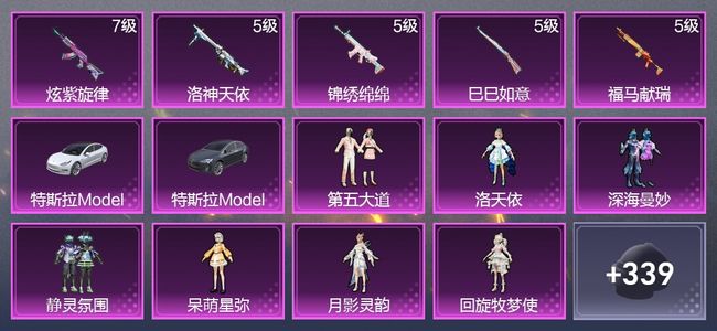 和平精英2载具 5升级枪 7粉装 2尾迹 199枪皮 169套装 6,6236热力 6印记 皇冠