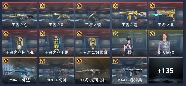 穿越火线：枪战王者V5 8王者 207英雄武器 2英雄角色 219万化 精英