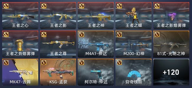 穿越火线：枪战王者V2 9王者 202英雄武器 221万化 精英