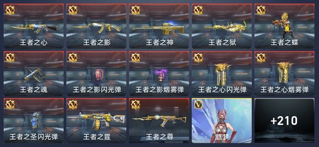 穿越火线：枪战王者V6 14王者 304英雄武器 5英雄角色 354万化 精英