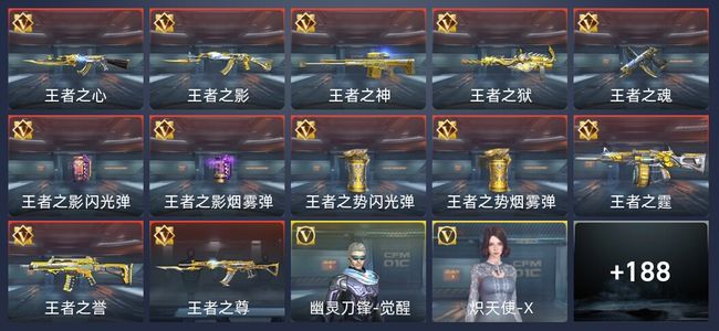 穿越火线：枪战王者V6 12王者 259英雄武器 6英雄角色 195万化 专家