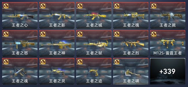 穿越火线：枪战王者V9 38王者 493英雄武器 13英雄角色 538万化 专家