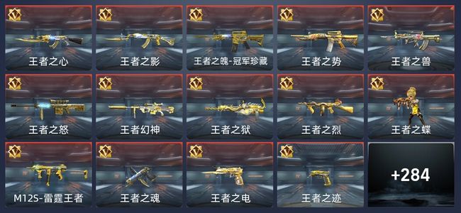 穿越火线：枪战王者V9 70王者 438英雄武器 13英雄角色 480万化 专家