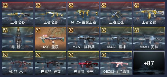 穿越火线：枪战王者V5 5王者 154英雄武器 1英雄角色 207万化 专家