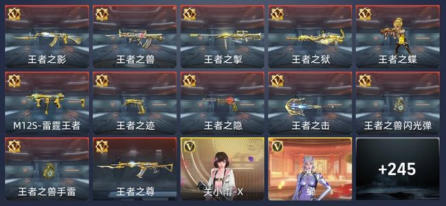 穿越火线：枪战王者V8 16王者 413英雄武器 9英雄角色 525万化 专家