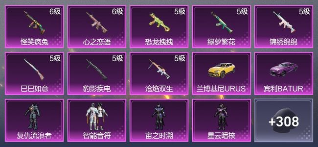 和平精英2载具 8升级枪 6粉装 181枪皮 153套装 5,8232热力 14印记