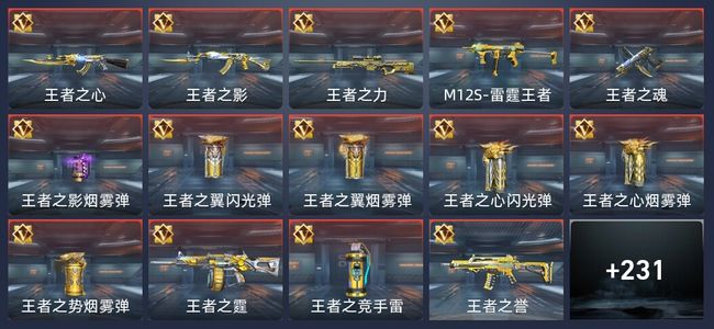 穿越火线：枪战王者V6 20王者 358英雄武器 4英雄角色 491万化 专家