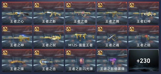 穿越火线：枪战王者V9 38王者 411英雄武器 6英雄角色 9万化 专家