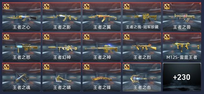 穿越火线：枪战王者V9 33王者 355英雄武器 5英雄角色 638万化 专家