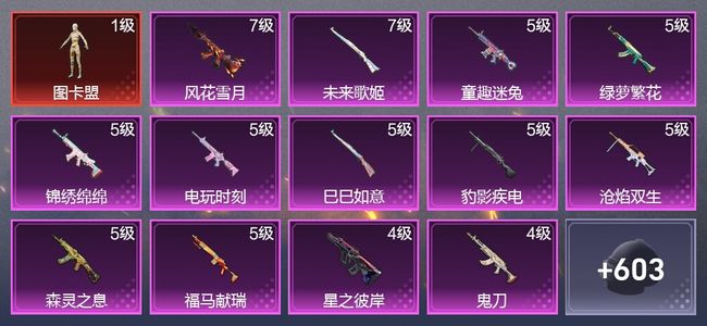 和平精英9载具 18升级枪 16粉装 12尾迹 333枪皮 246套装 123884热力 17印记